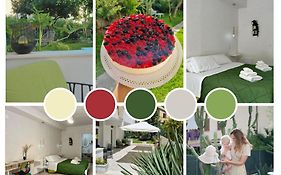 B&B Kamalei Tropea